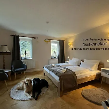 Weberhaus Apartment Seiffen